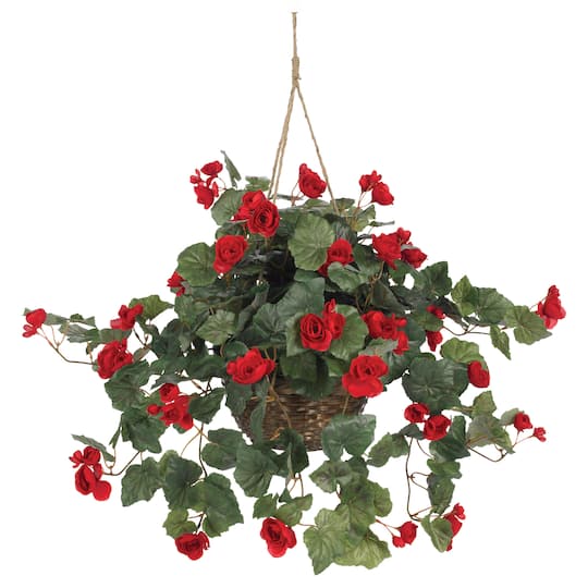 24" Red Begonia in Hanging Basket